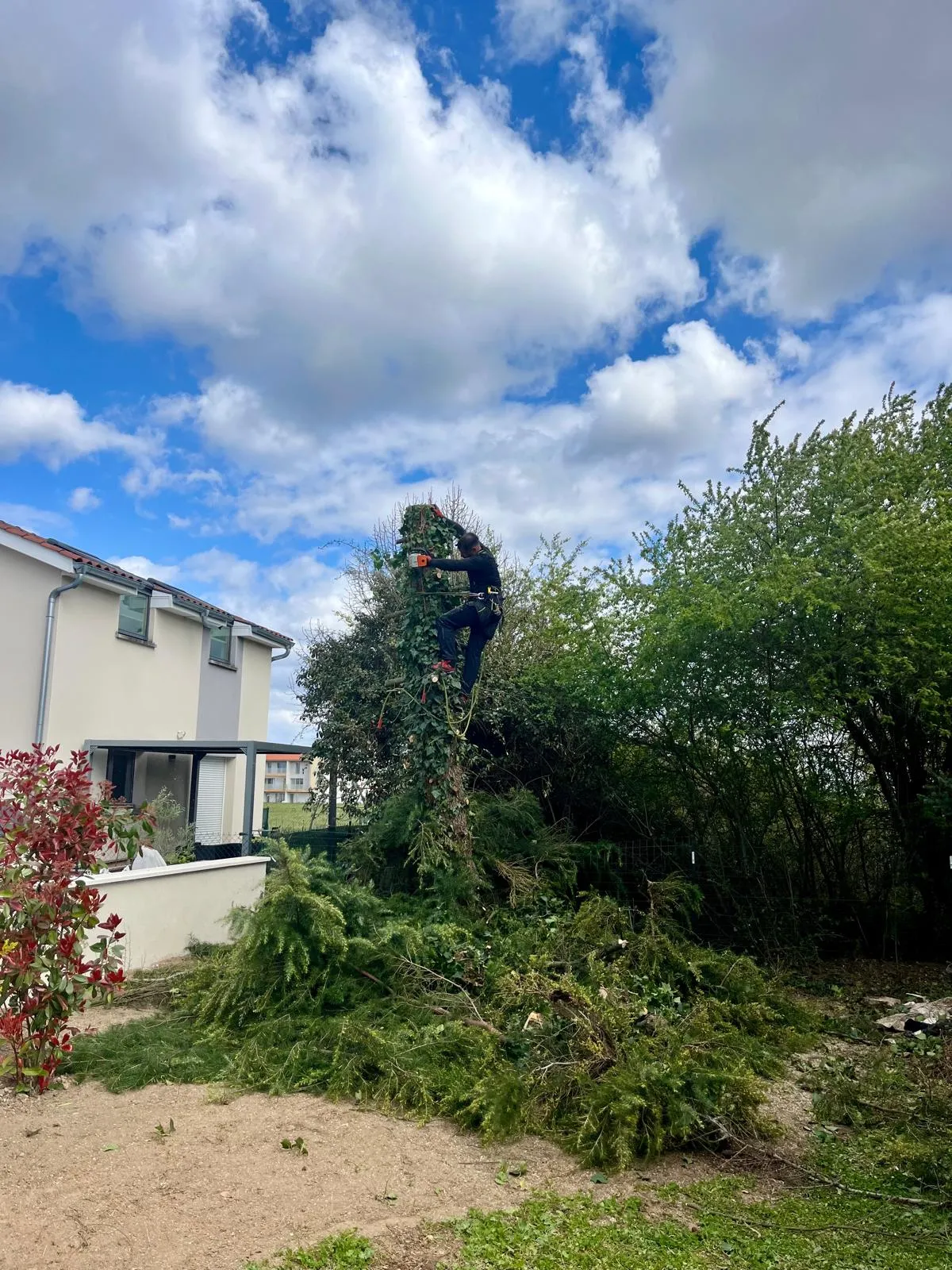 Réalisation paysagiste Lyon INNOVA — Élagage avec nettoyage des branches