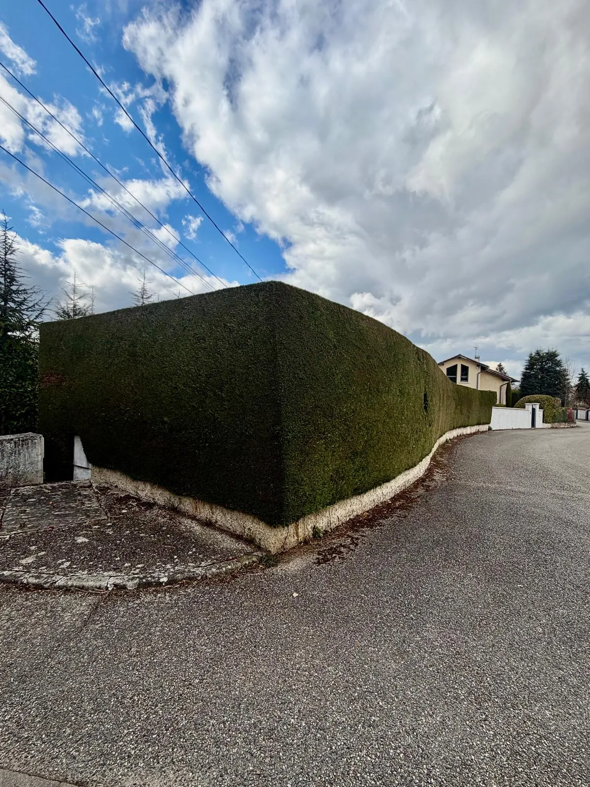 Réalisation paysagiste Lyon INNOVA — Taille de haie haute
