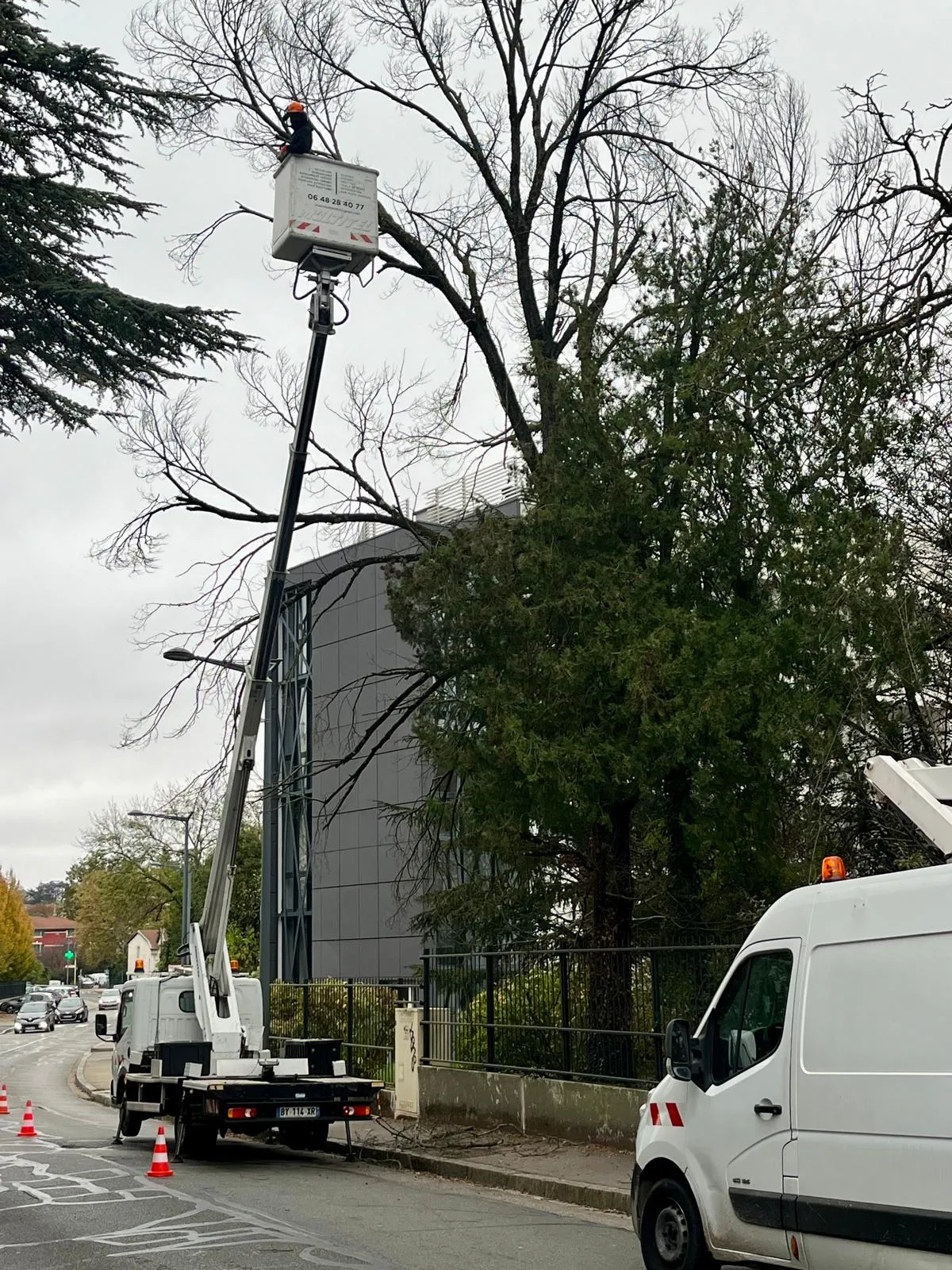 Réalisation paysagiste Lyon INNOVA — Élagage en nacelle sécurisé